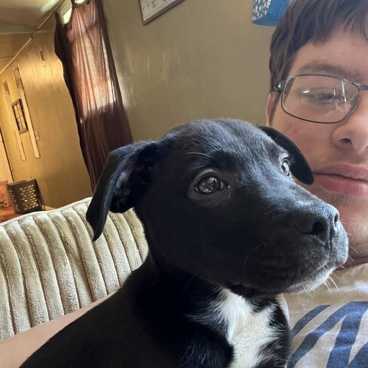 Foto de perfil de Bradlin