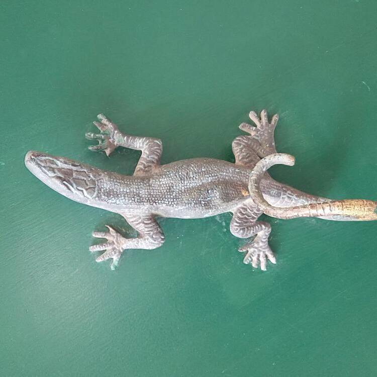 Foto de perfil de Eva