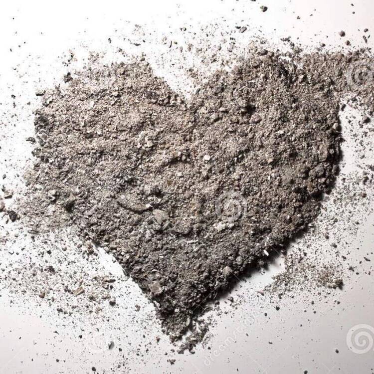 Foto de perfil de Anacb