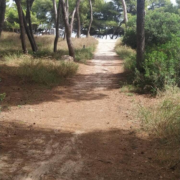 Foto de perfil de Maria