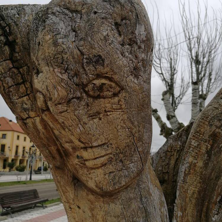 Foto de perfil de Teutoburgo