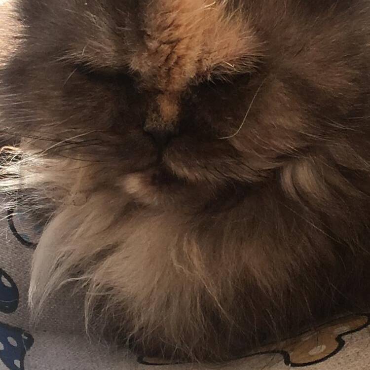 Foto de perfil de Maria