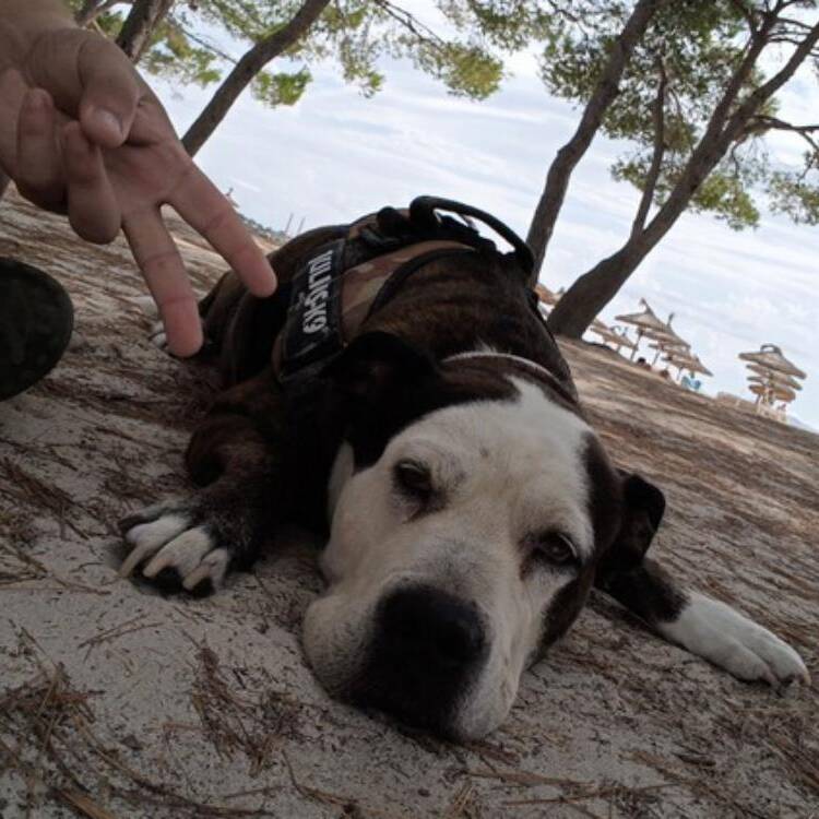 Foto de perfil de Hector