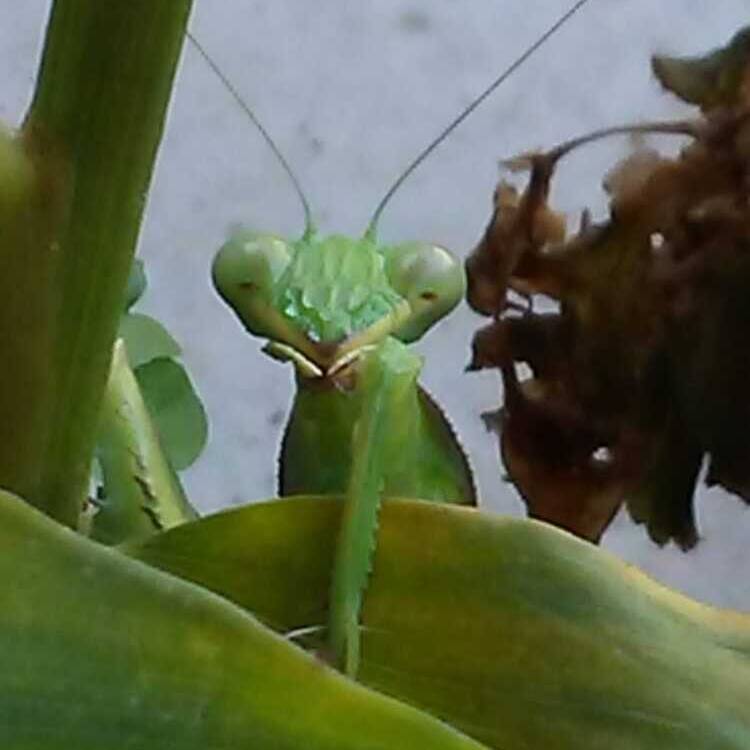 Foto de perfil de Jose
