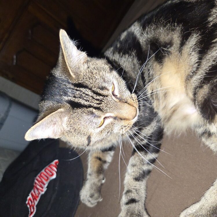 Foto de perfil de Thomas