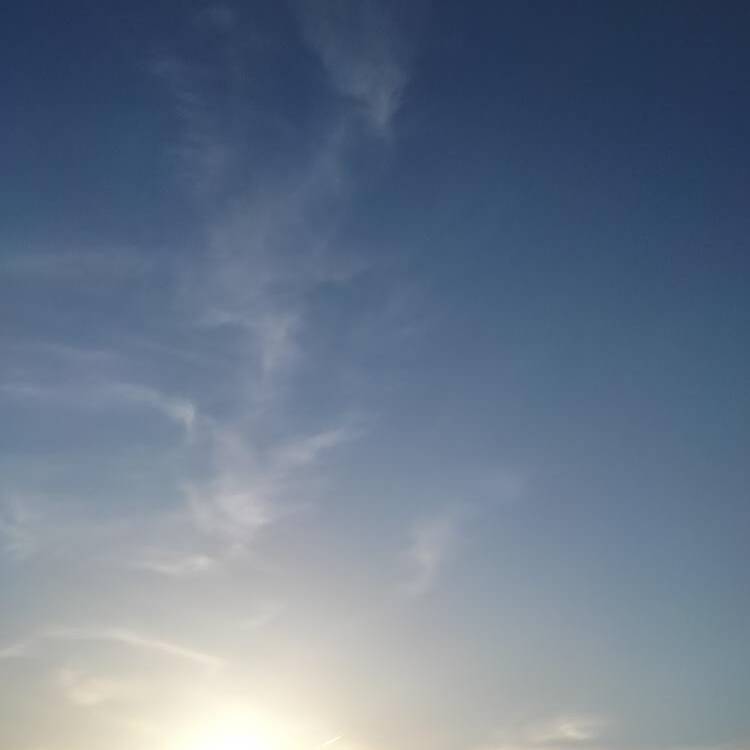 Foto de perfil de maria