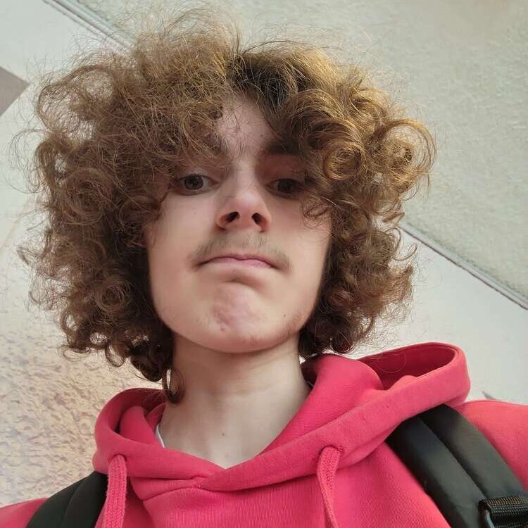Foto de perfil de Jules