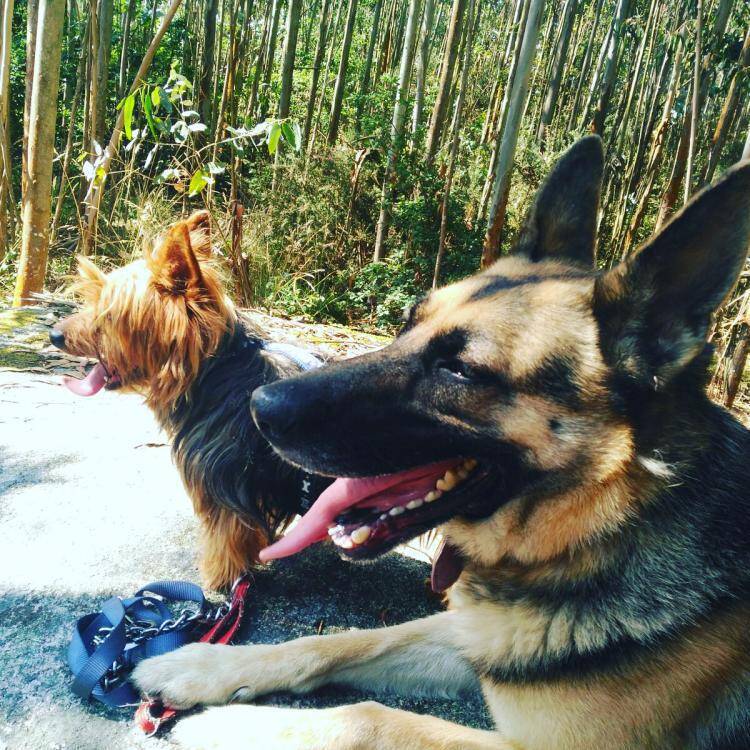 Foto de perfil de mingo