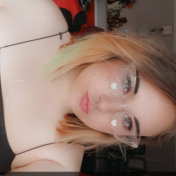 Foto de perfil de North