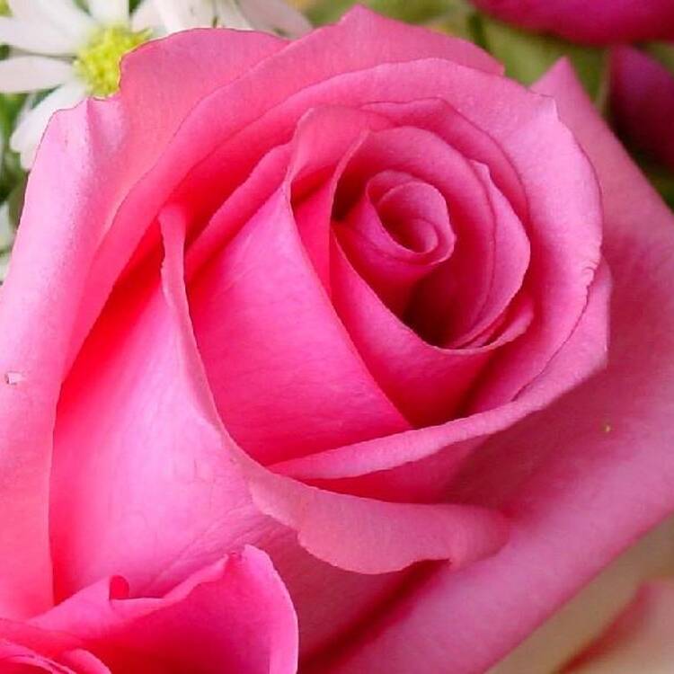 Foto de perfil de margaretxxbaa