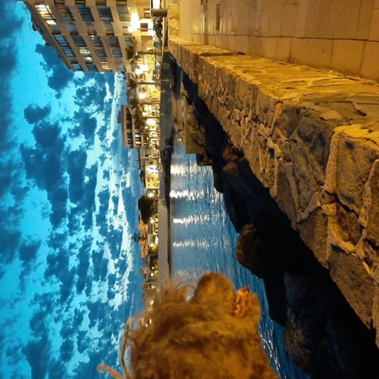 Foto de perfil de Ana