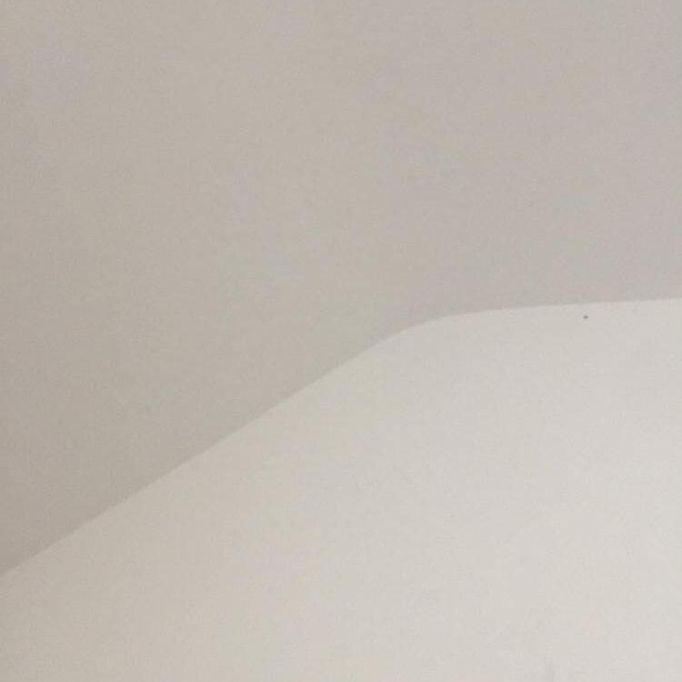 Foto de perfil de Adambay69