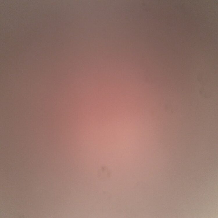 Foto de perfil de Jamie