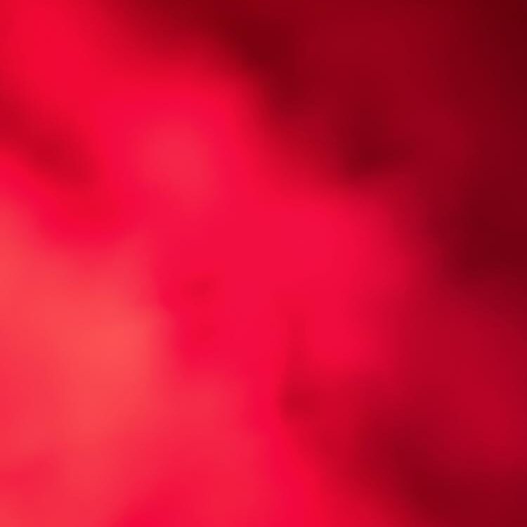 Foto de perfil de Andrew.rosado7