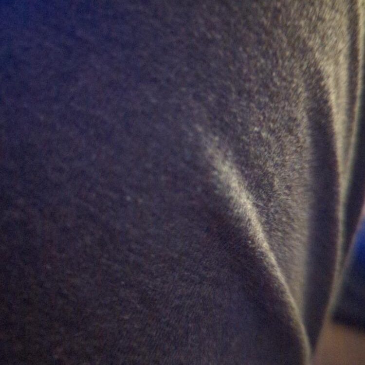 Foto de perfil de chad_davis