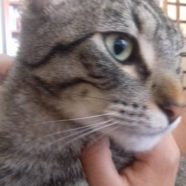 Foto de perfil de mar
