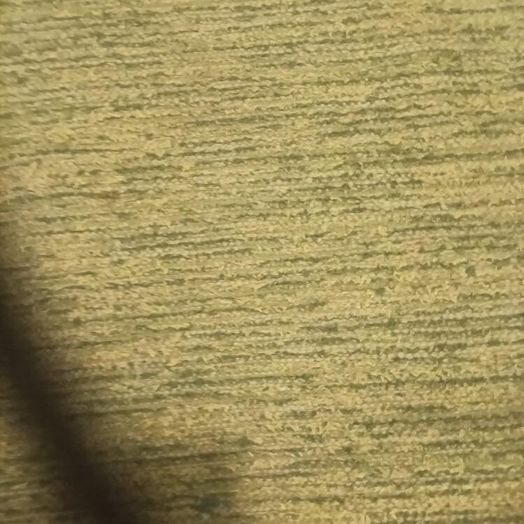Foto de perfil de Nicky
