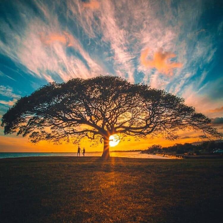 Foto de perfil de Kiran