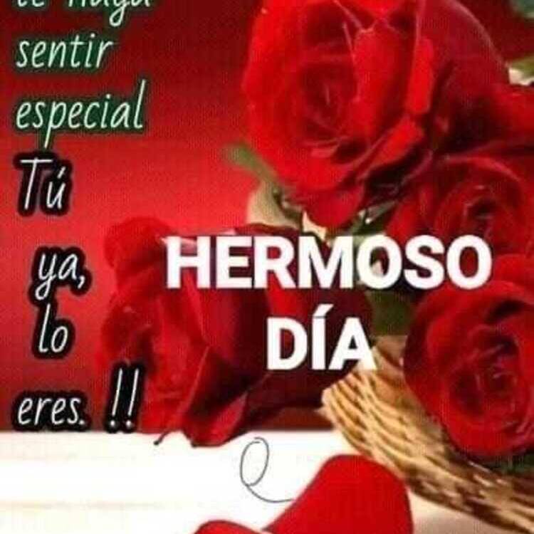 Foto de perfil de Eduardo