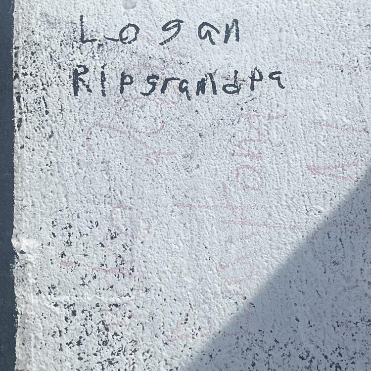 Foto de perfil de Logan