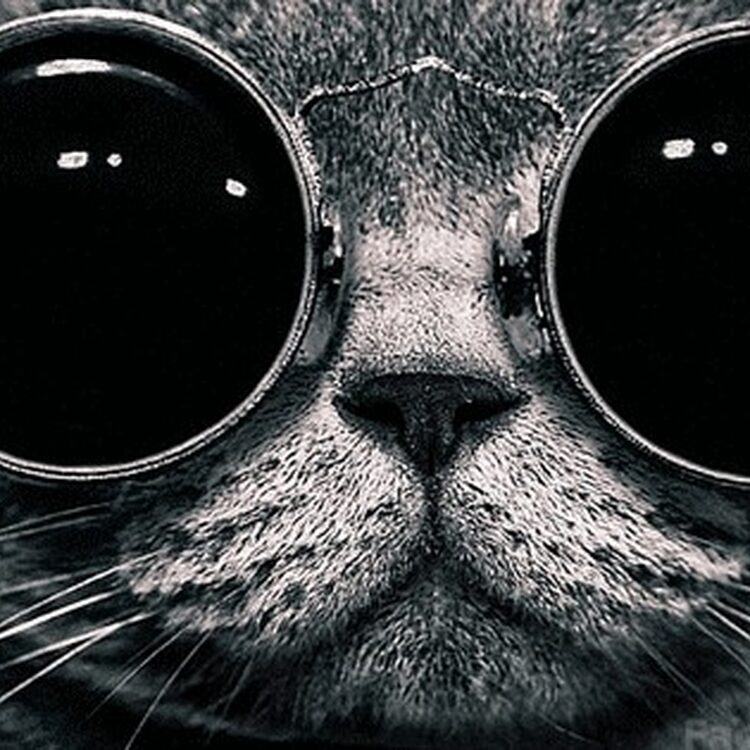 Foto de perfil de Drew