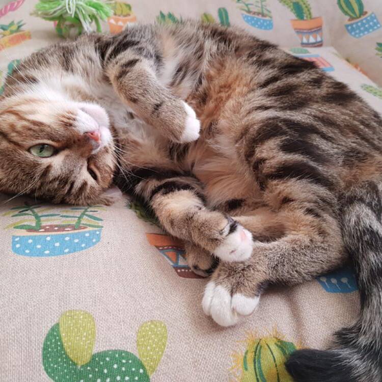 Foto de perfil de Jessica