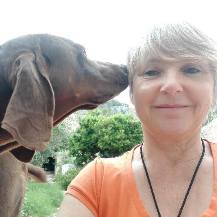 Foto de perfil de Maria