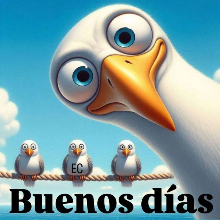 Foto de perfil de Carmen