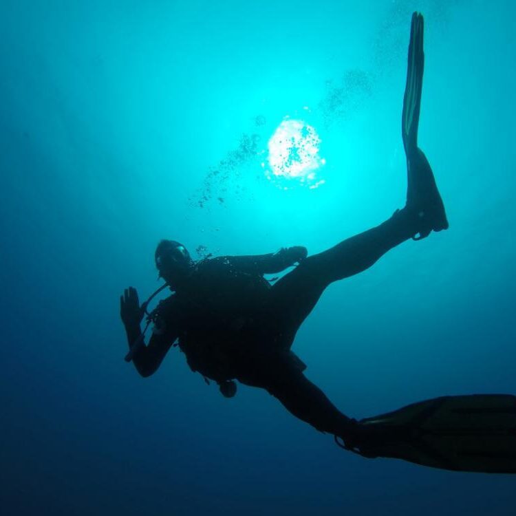 Foto de perfil de DiveZgz