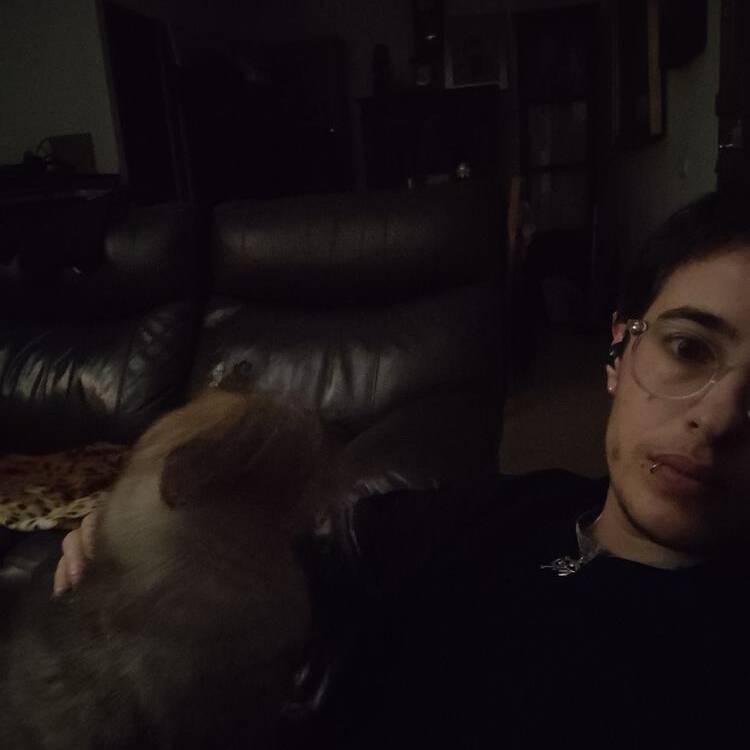 Foto de perfil de David