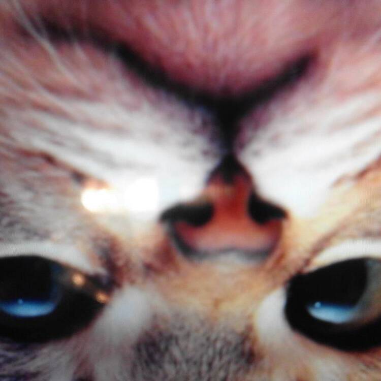 Foto de perfil de Maria