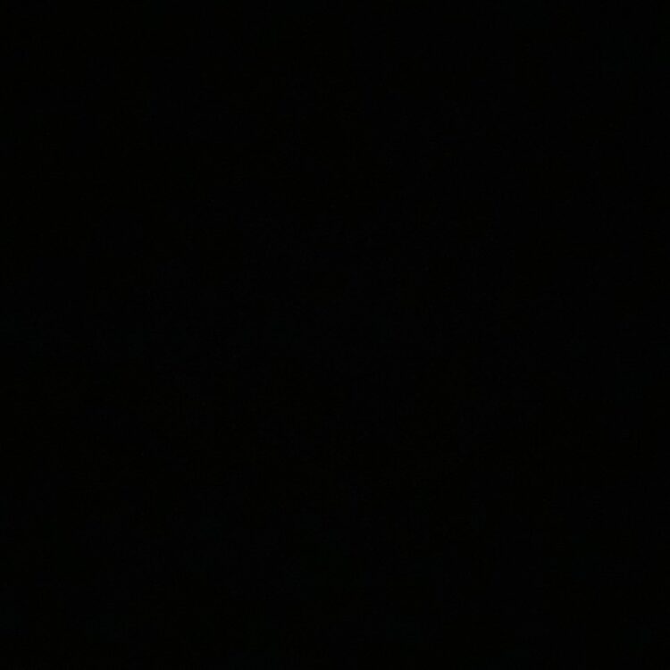 Foto de perfil de neel