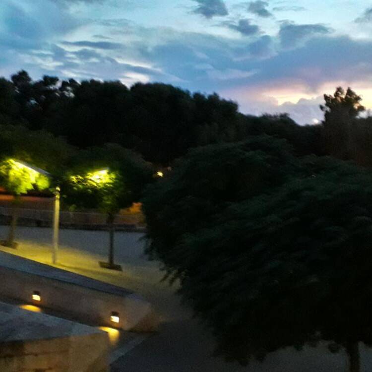 Foto de perfil de Anna