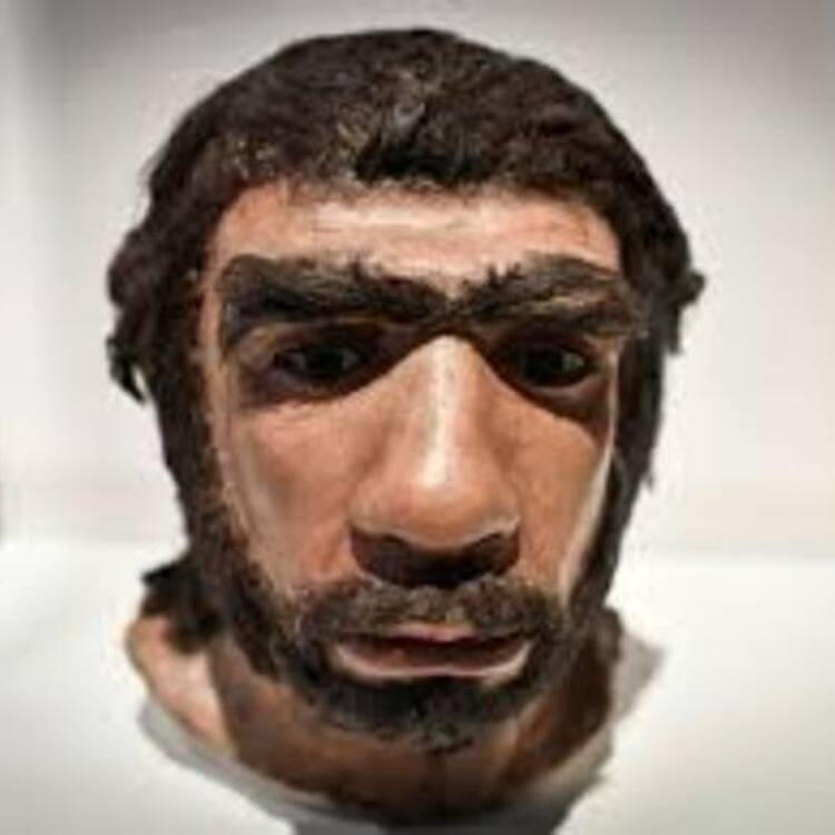 Foto de perfil de algo