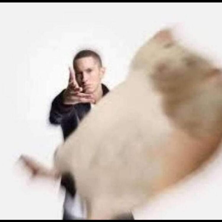 Foto de perfil de Bartek