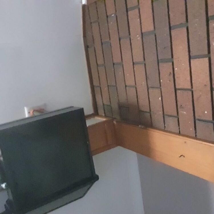 Foto de perfil de Xavier