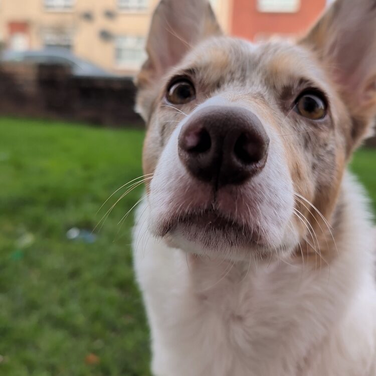 Foto de perfil de Nemo Kayla