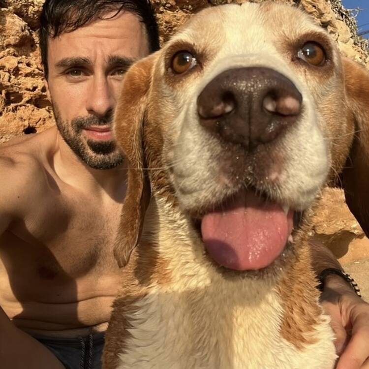 Foto de perfil de Javier