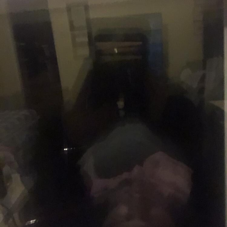 Foto de perfil de Bedellc6