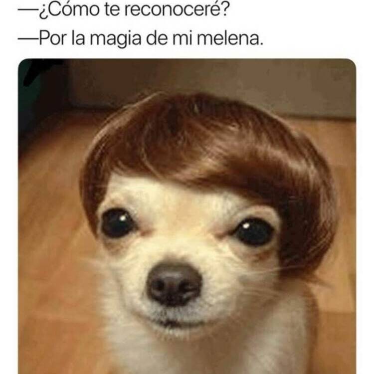 Foto de perfil de Vela30