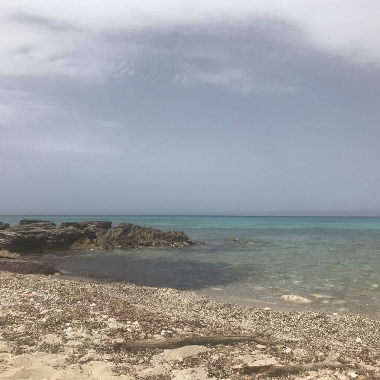 Foto de perfil de Ana