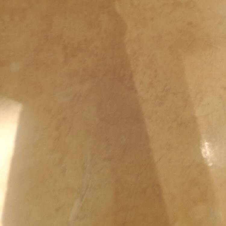 Foto de perfil de javier