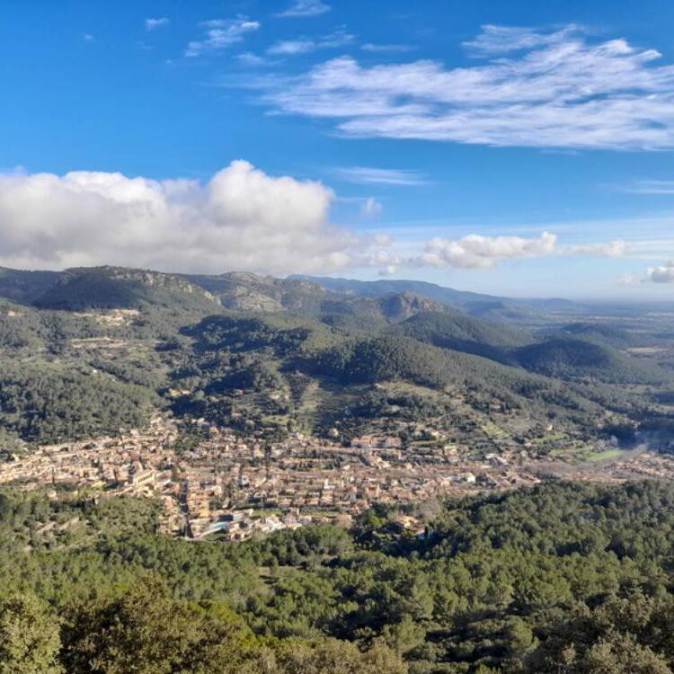 Foto de perfil de yolanda