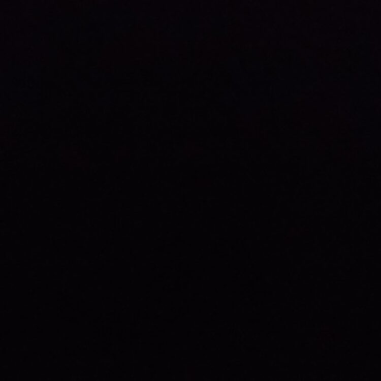 Foto de perfil de Adam