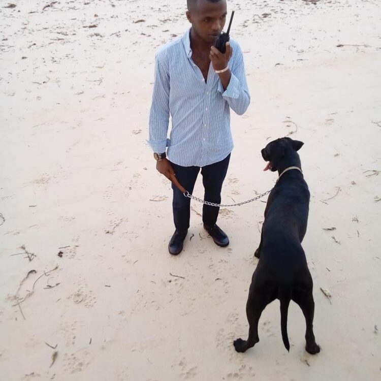 Foto de perfil de Stephen Hezron