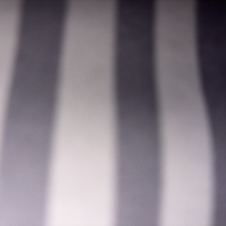 Foto de perfil de Casey