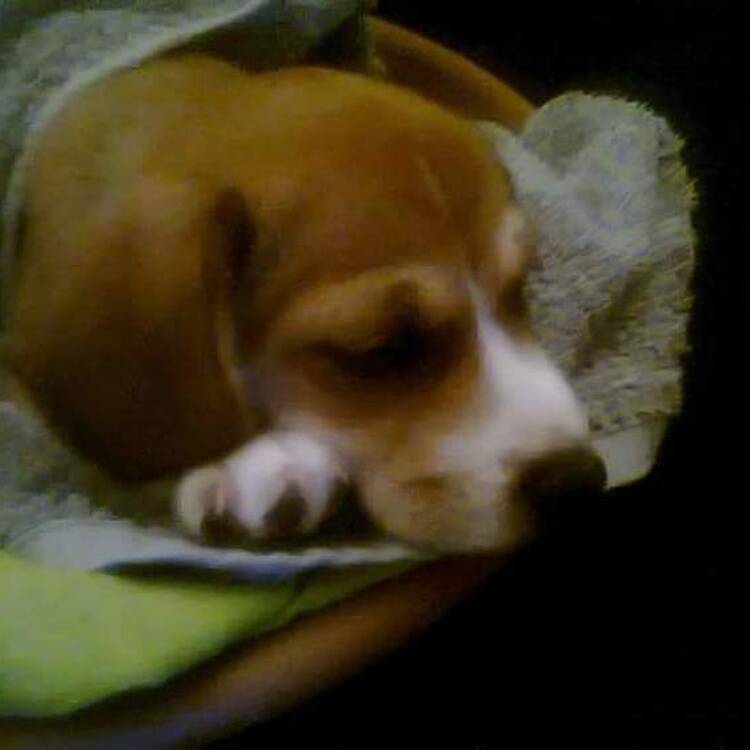 Foto de perfil de eve