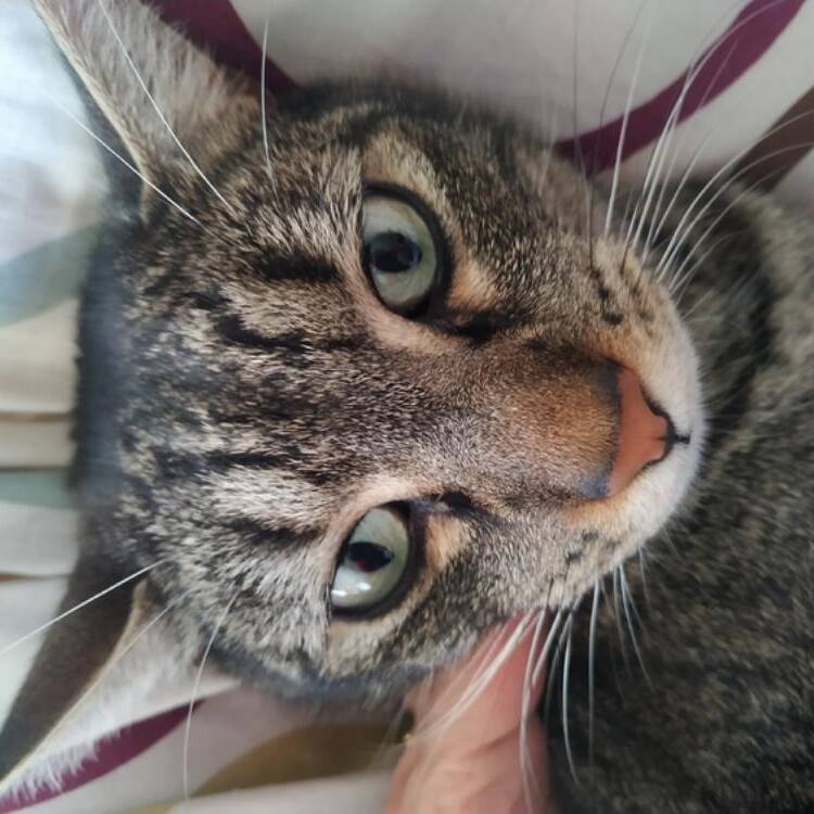Foto de perfil de maria