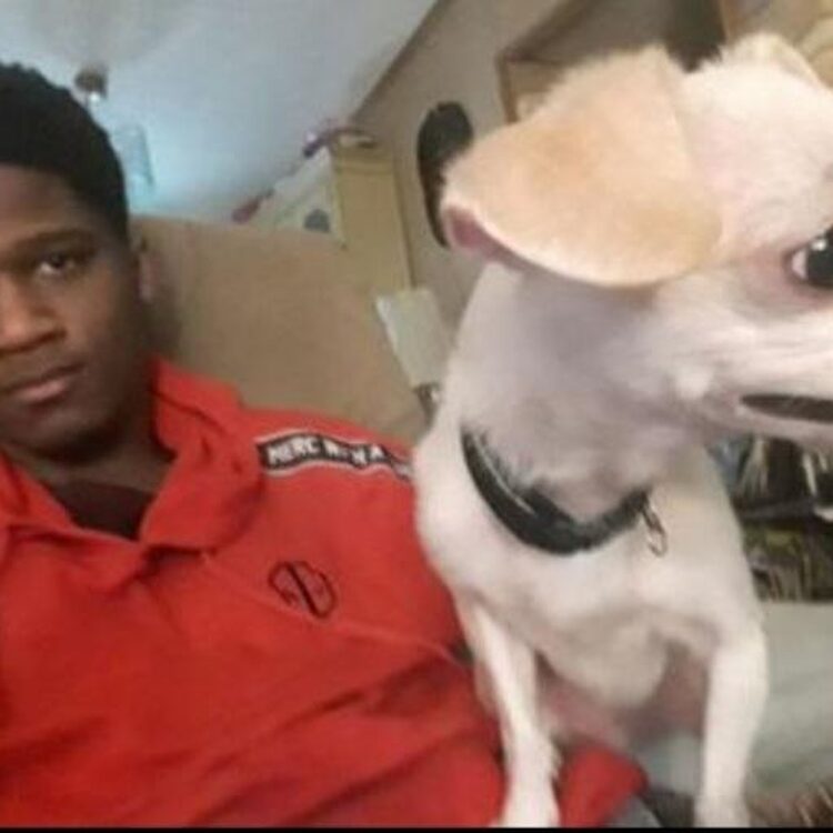 Foto de perfil de Mason