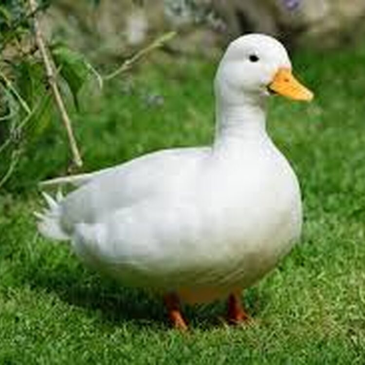 Foto de perfil de Ight_BetXD
